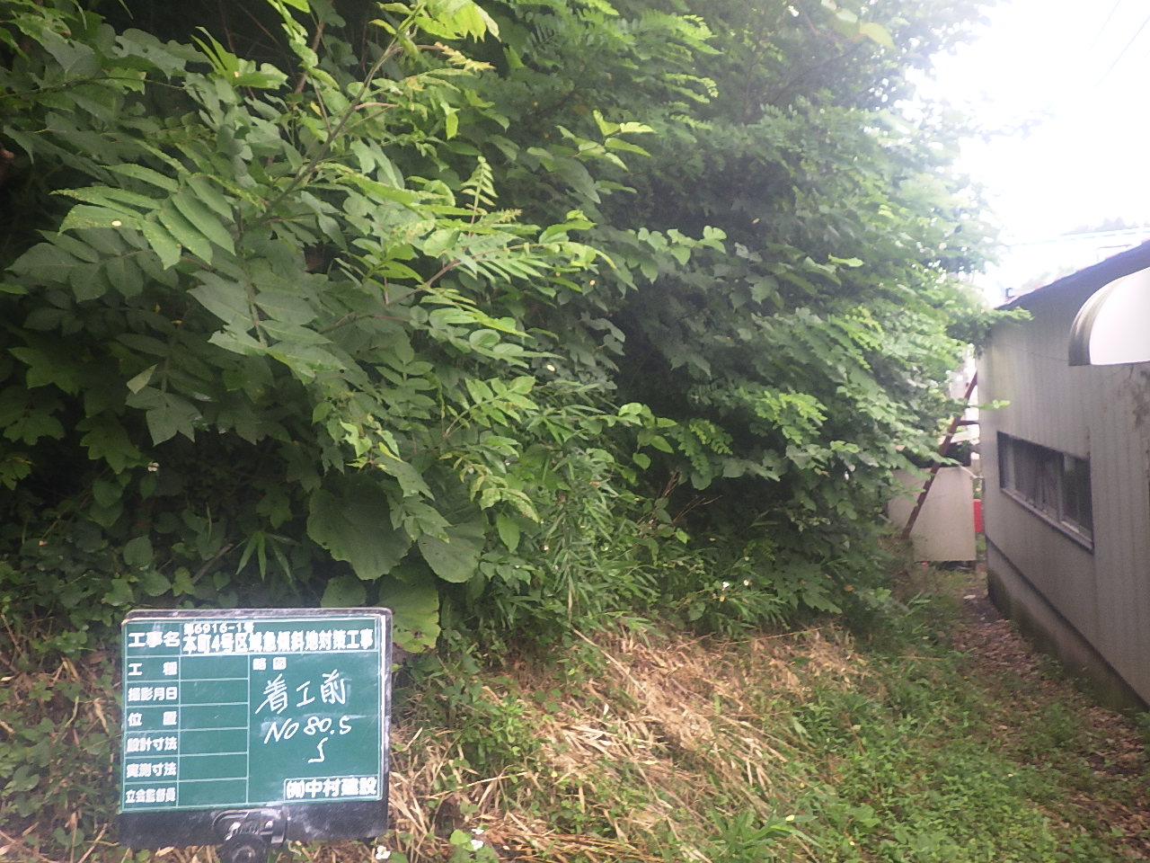 第6916-1号　本町４号区域急傾斜地対策工事